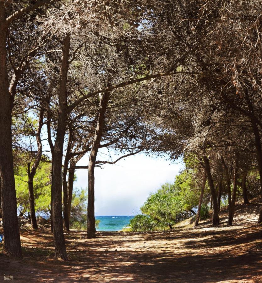 Appartamenti Rivabella D Gallipoli Zewnętrze zdjęcie